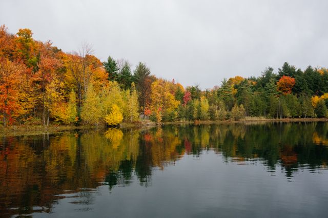Stunning autumn foliage reflected in a calm lake under an overcast sky. Ideal for concepts related to nature, autumn season, tranquility, and outdoor recreation. Suitable for use in travel brochures, nature blogs, seasonal promotions, or wallpapers.
