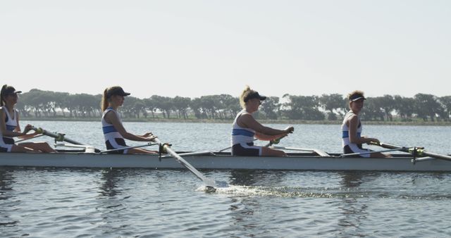 Women's Rowing Team Training on Calm Lake in Sunny Weather - Download Free Stock Images Pikwizard.com