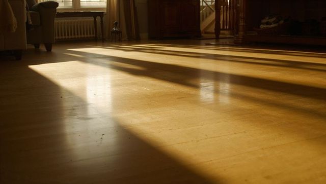 Warm sunlight casting long window shadows across hardwood floor in cozy living room interior
