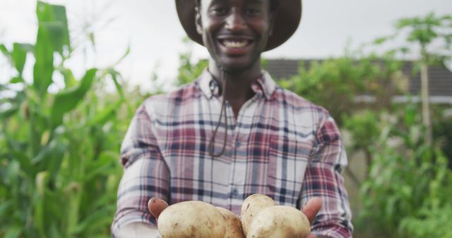 Smiling farmer holding freshly harvested potatoes in green field, showcasing agricultural produce. Ideal for use in content related to farming, sustainable living, organic food production, rural lifestyle, and agricultural business promotions.