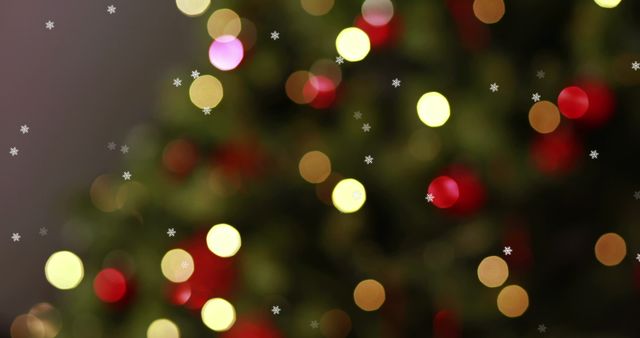 Flickering Fairy Lights on Christmas Tree with Festive Background - Download Free Stock Images Pikwizard.com