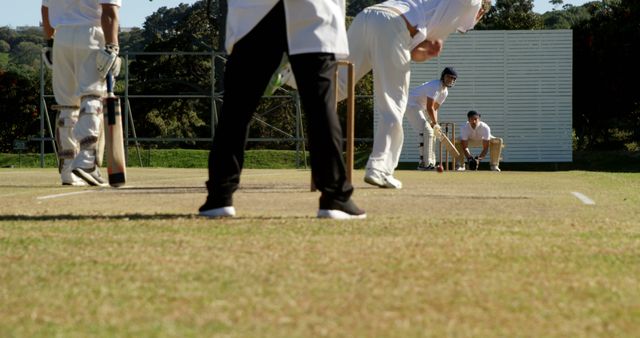 Batsman awaiting a delivery during a cricket match - Download Free Stock Images Pikwizard.com