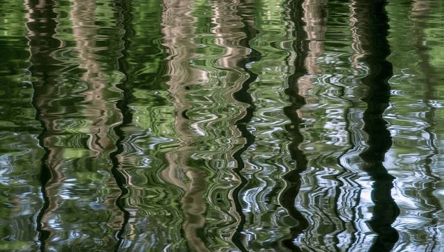 Painterly rippling reflection of tree trunks and green foliage on calm lake surface