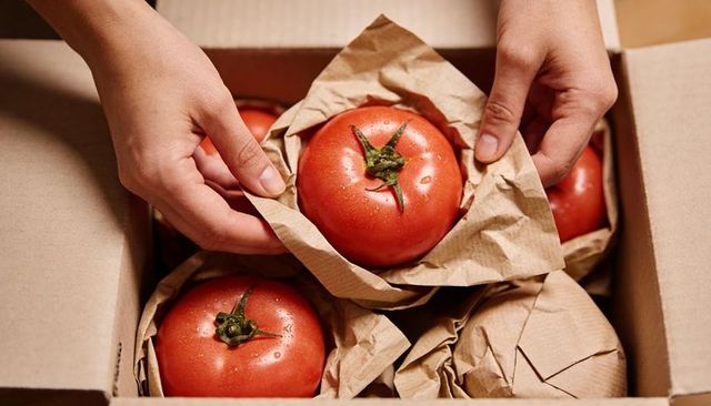 Hands wrapping fresh tomatoes in kraft paper for sustainable organic produce packaging