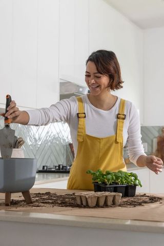 African american woman potting seedlings in bright kitchen wearing mustard yellow overalls