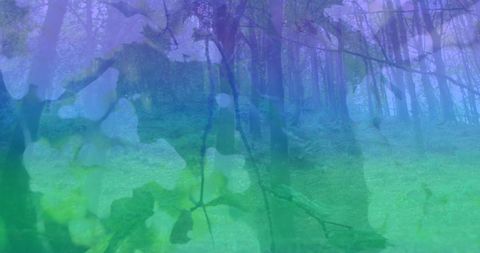 Dreamy Forest Scene Overlaid with Soft Light Spots - Download Free Stock Images Pikwizard.com