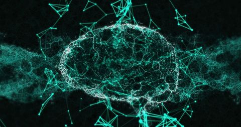 Digital Brain with Data Processing Connections - Download Free Stock Images Pikwizard.com