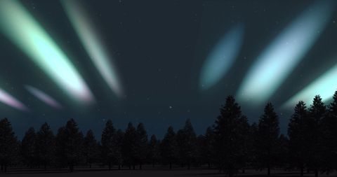 Magnificent display of aurora borealis illuminating the night sky above a tranquil winter forest. Snow-covered fir trees stretch below vibrant green and blue lights, creating a serene and mystical ambiance. Ideal for winter and holiday-themed designs or promotional content emphasizing nature's serene beauty.