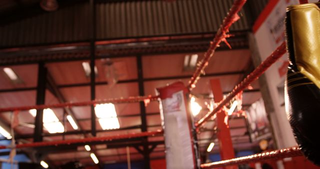 Focused view of a boxing ring's ropes with a hanging glove. Bright interior lighting shines within a spacious arena, suggesting an active or awaiting match setting. Ideal for sports-themed articles, advertisements for boxing gear, or event promotions.