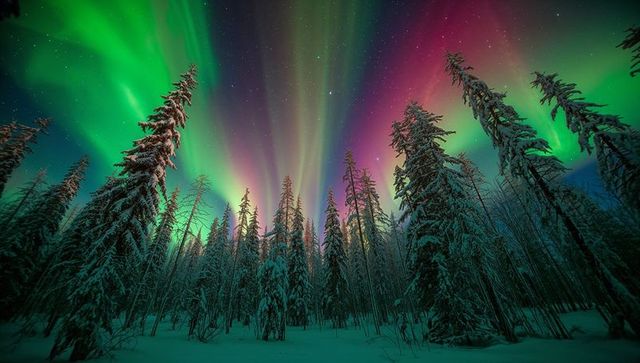 Colorful Aurora Borealis Over Snowy Forest in Tranquil Night Sky