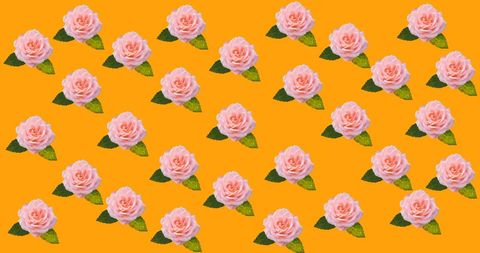 Colorful Floral Pattern on Vibrant Orange Background