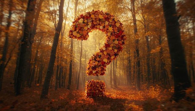 Autumn Leaves Forming Question Mark in Sunlit Forest
