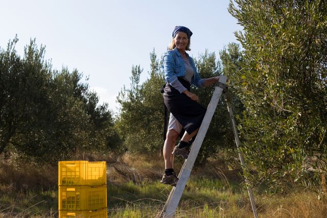 Portrait of woman harvesting olives from tree in farm