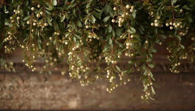 Cascading green garland with cream berries draping over ornate carved wooden mantelpiece