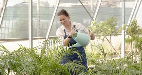 Woman Watering Tropical Plants in Greenhouse