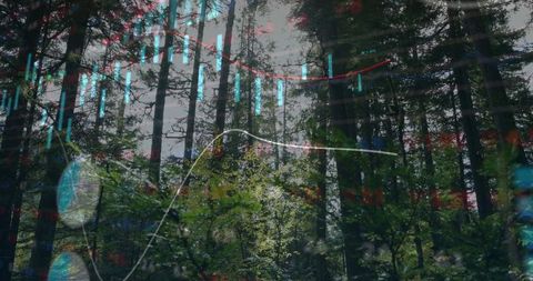 Temperature Woodland with Digital Graph Overlays Representing Ecological Data