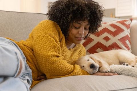 African american woman resting on sofa cuddling sleeping golden retriever puppy in mustard sweater