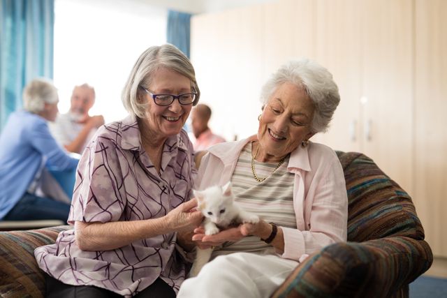 Smiling female senior friends looking at kitten while sitting on arm chair in nursing home
