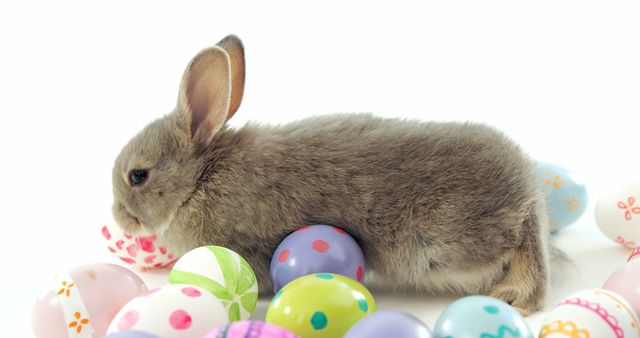 Adorable bunny surrounded by various colorful Easter eggs against a white background. Ideal for Easter greetings, holiday-themed advertisements, blog posts about Easter celebrations or rabbit care tips.