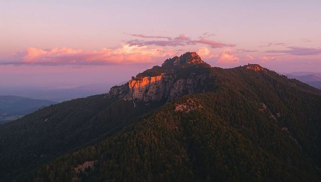 Sunrise glowing mountain ridge with rocky cliffs and fir forest under pastel sky