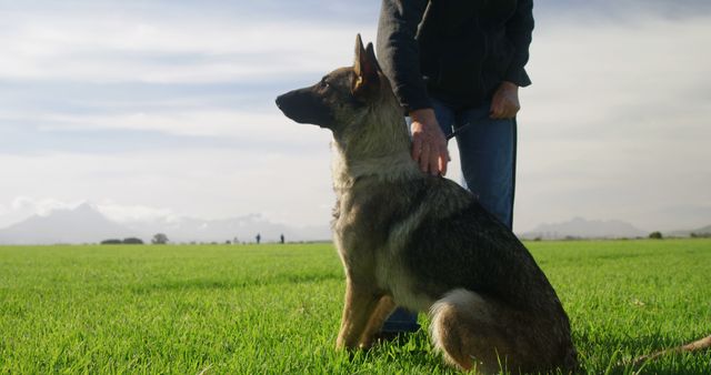 German Shepherd sitting attentively on green grass in an open field with owner standing nearby. The dog's posture indicates obedience and attentiveness. Ideal for use in articles or advertisements related to dog training, pet care, outdoor activities with pets, and obedience training programs.