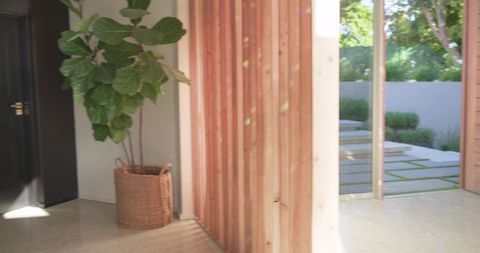 Sunlit fiddle-leaf fig in woven basket by wooden slat entryway with garden patio view