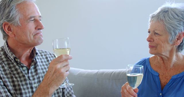 Senior couple drinking white wine on couch