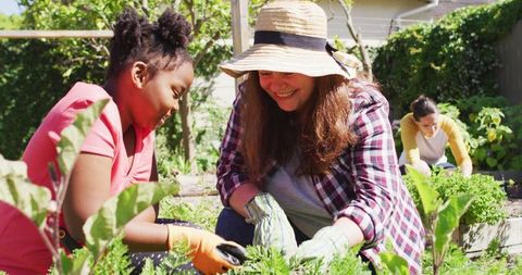 Caring Interracial Family Gardening Together Outdoors - Download Free Stock Images Pikwizard.com