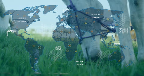 Digital World Map Overlay on Grazing Horse