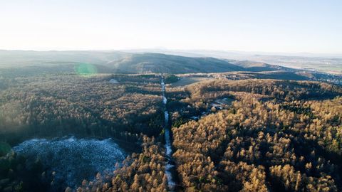 Aerial view of winter forest landscape at sunrise
