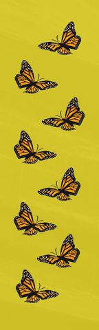vibrant butterflies gliding on a textured green background - Download Free Stock Templates Pikwizard.com