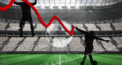 Silhouettes Analyzing Graphs in a Stadium for Financial Growth