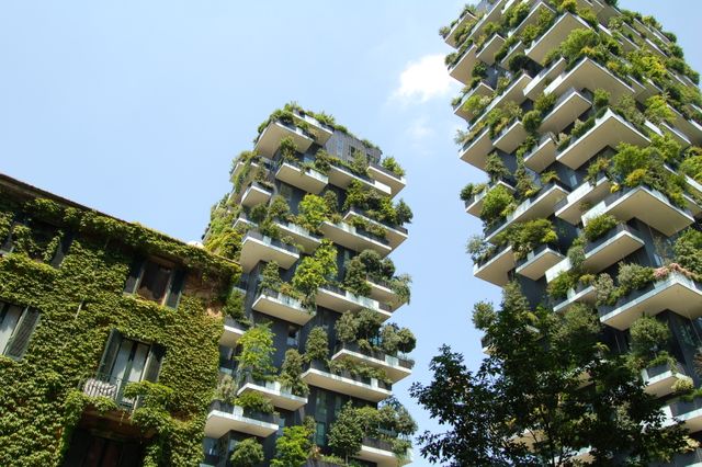 Eco-Friendly High-Rise Buildings with Vertical Gardens - Download Free Stock Photos Pikwizard.com