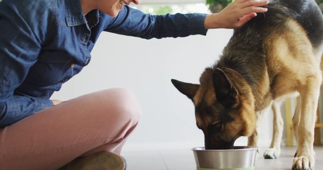 Woman feeding German Shepherd in a bright kitchen. Ideal for topics about pet care, companionship, indoor activities with pets, and responsible pet ownership.