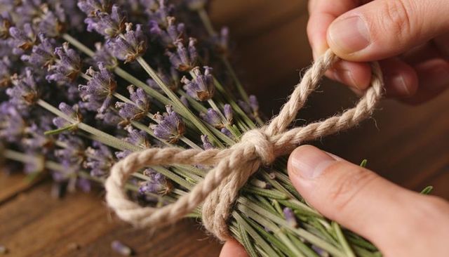 Hands tying dried lavender bundle with twine bow on rustic wooden surface for home decor