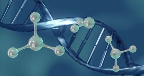 Molecules interacting with spinning dna strand