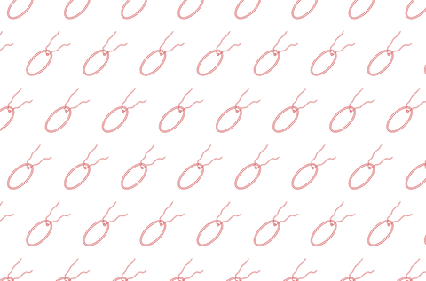 diagonal red tags on transparent background for text - Download Free Stock Videos Pikwizard.com
