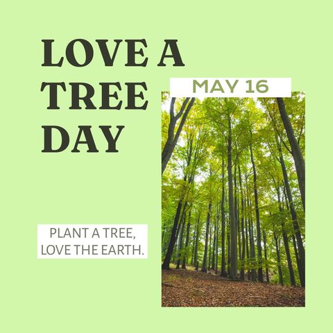 love a tree day celebration with verdant forest background - Download Free Stock Templates Pikwizard.com