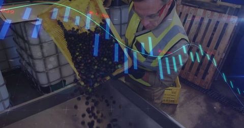 Technician Checking Olive Production with Market Trends Overlay