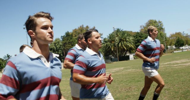 Rugby Team Training Outdoors On Sunny Day - Download Free Stock Images Pikwizard.com