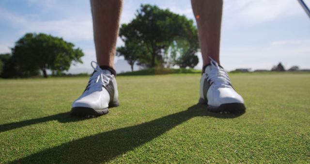 Close-up image capturing golfer's legs and shoes on a green grass golf course. Excellent for advertising sports equipment, athletic footwear, golf courses, and outdoor activities. Great visual for promotional materials for golf tournaments or sportswear brands.