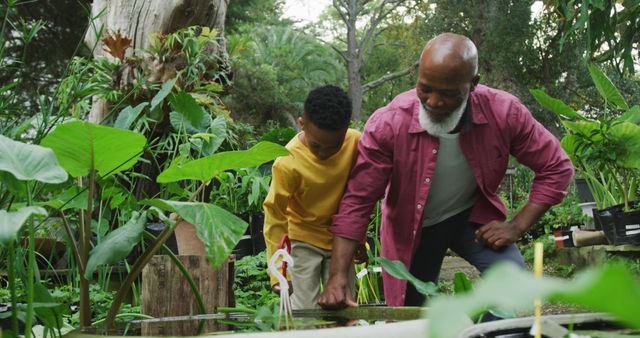 Happy senior african american man with his grandson looking at plants in garden - Download Free Stock Photos Pikwizard.com