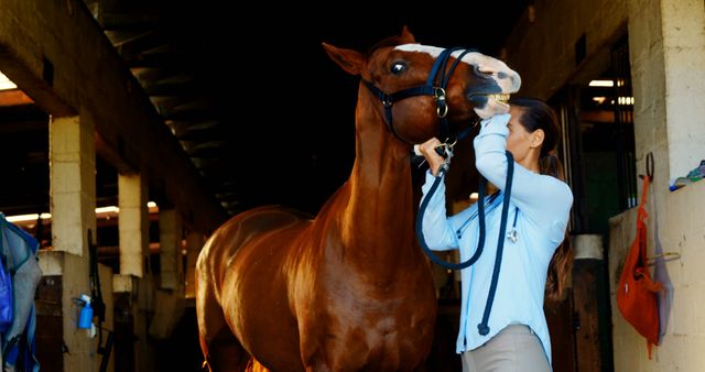 An expert equestrian adjusts a horse's bridle with gentle care in a stable. - Download Free Stock Photos Pikwizard.com
