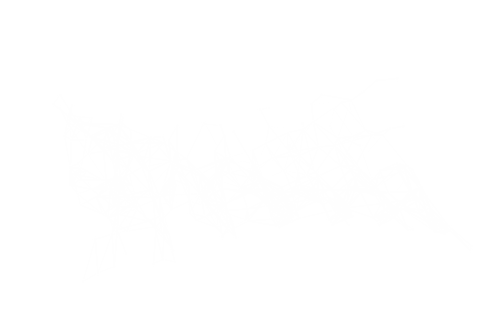 abstract network of connections on transparent background - Download Free Stock Videos Pikwizard.com