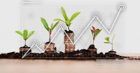 Growing seedlings on coins showing financial and environmental growth
