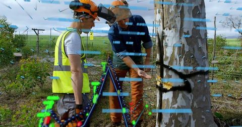 Lumberjacks Analyzing Tree with Digital Data Overlay