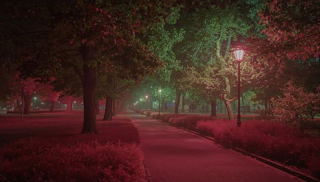 Enchanting night walkway in serene city park