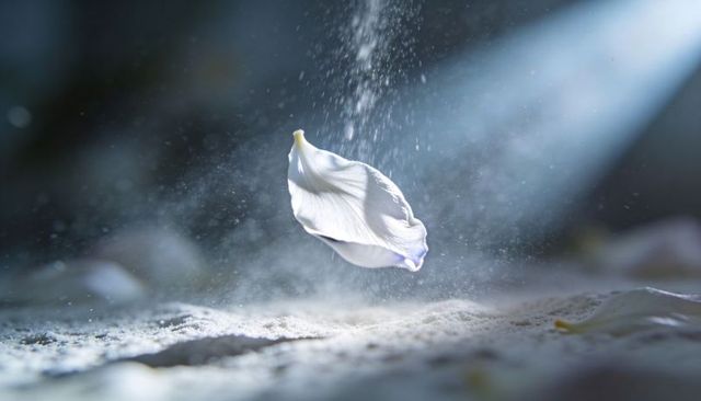 Floating white petal drifting over powdered sand with backlit dust and soft bokeh