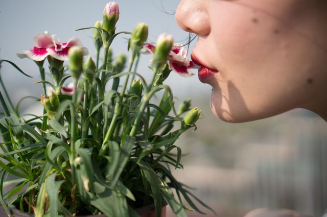 Woman kissing flowers in garden on sunny day - Download Free Stock Photos Pikwizard.com
