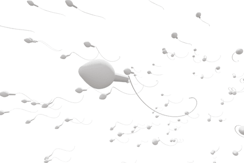 digital spermatozoids on transparent background for parenthood concepts - Download Free Stock Videos Pikwizard.com